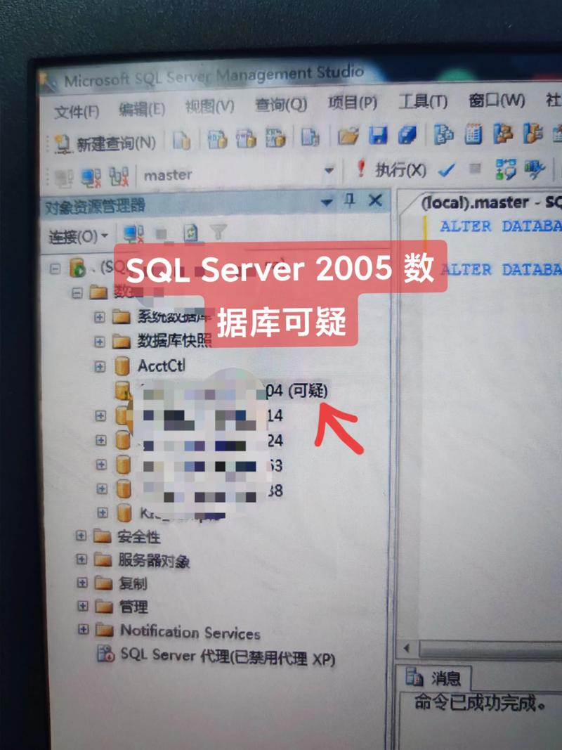 MySQL安装后为何未见数据库？