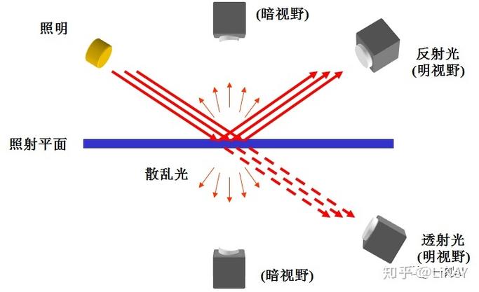 光源照明中，明场与暗场照明有何区别？