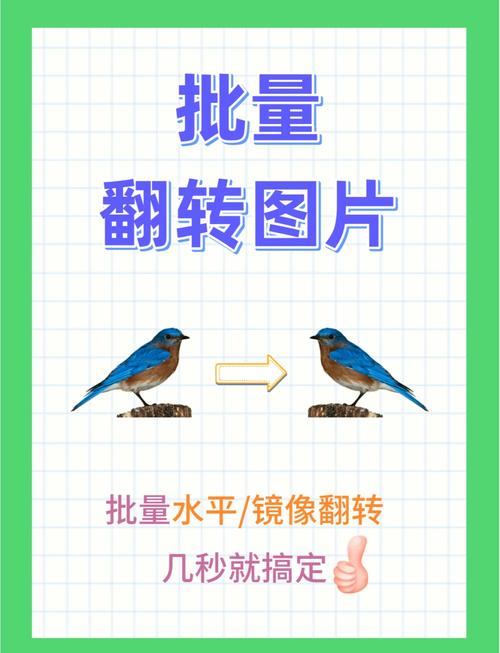 如何用JavaScript canvas实现图片的镜像翻转效果？