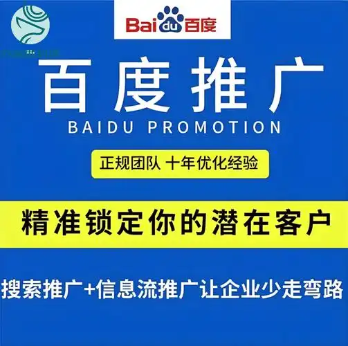 莆田SEO优化，有没有推荐的专业团队可以信赖？
