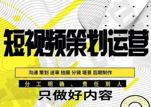 如何通过5招快速提升影视站收录，实现曝光率翻倍？