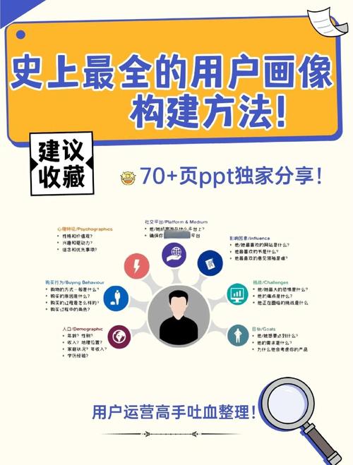 如何通过PHP与Coreseek技术构建高效的用户画像精准分析系统？