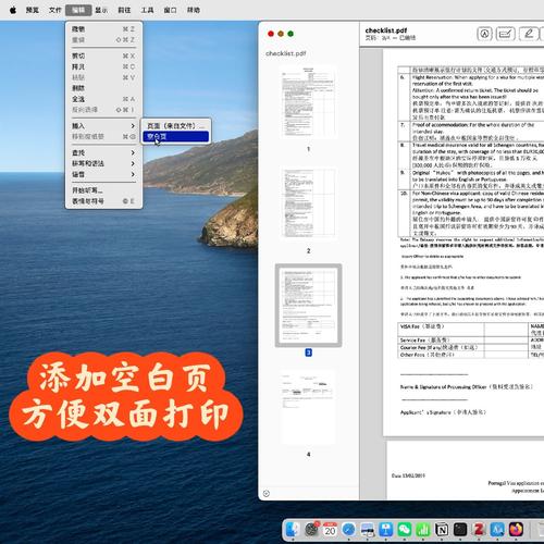 Vue如何实现接收二进制文件流进行PDF预览的功能？
