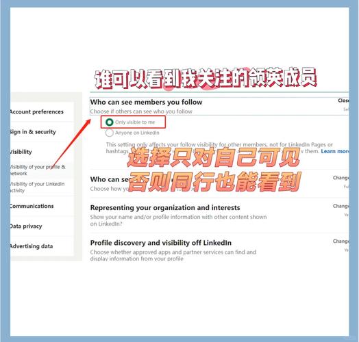 ASP.NET Membership中，如何设置TextBox在登录控制中自动获得焦点？