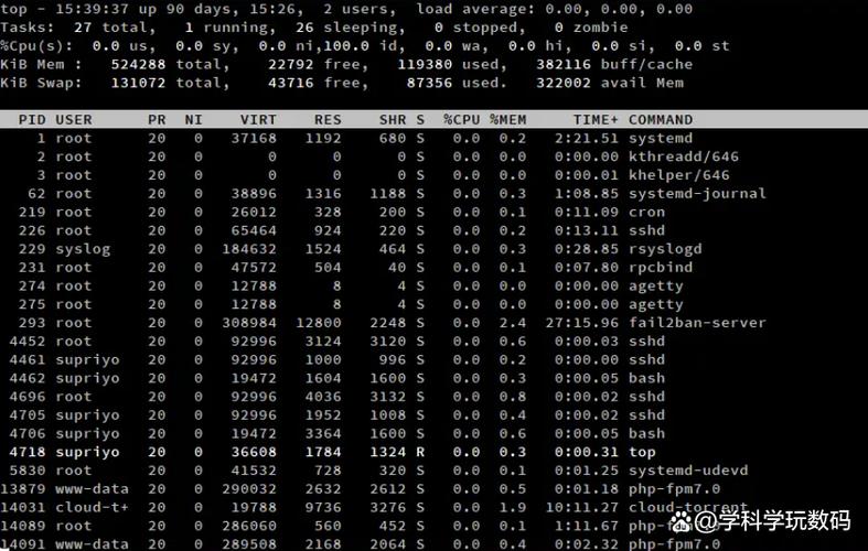 Linux下如何使用top命令查看系统进程信息？