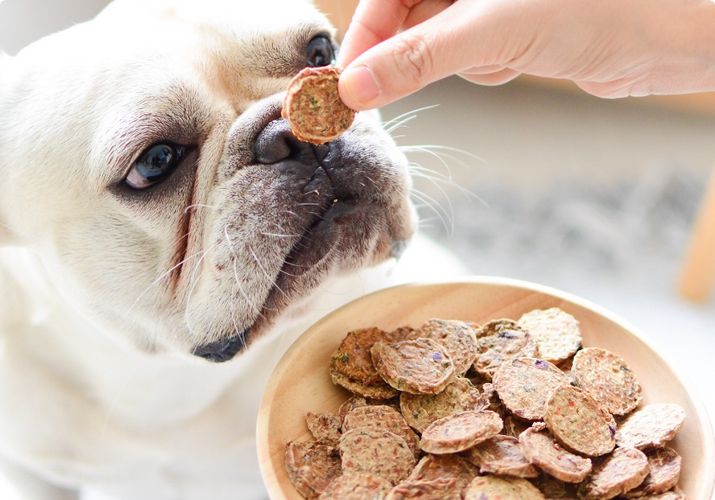 What's the best candy to use for feeding pets?