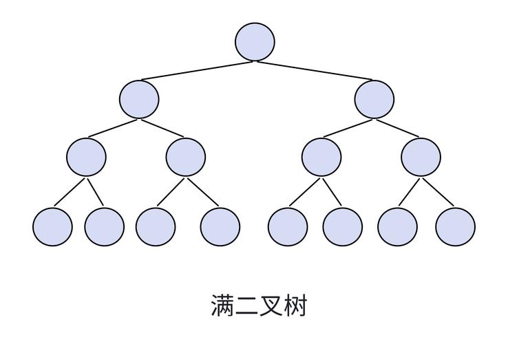 二叉树的基本概念有哪些？