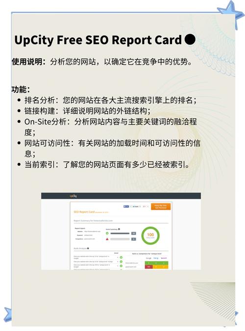 如何通过谷歌插件实现SEO利器，让网站流量翻倍增长？