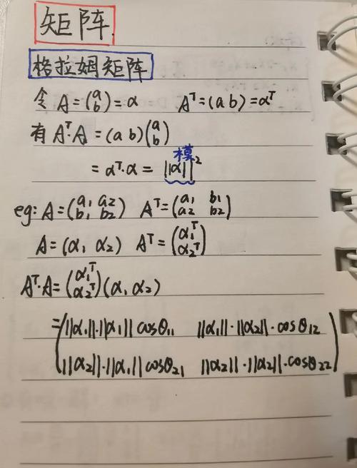 四维矩阵的奥秘，你真的了解吗？矩阵世界，你准备好探索了吗？