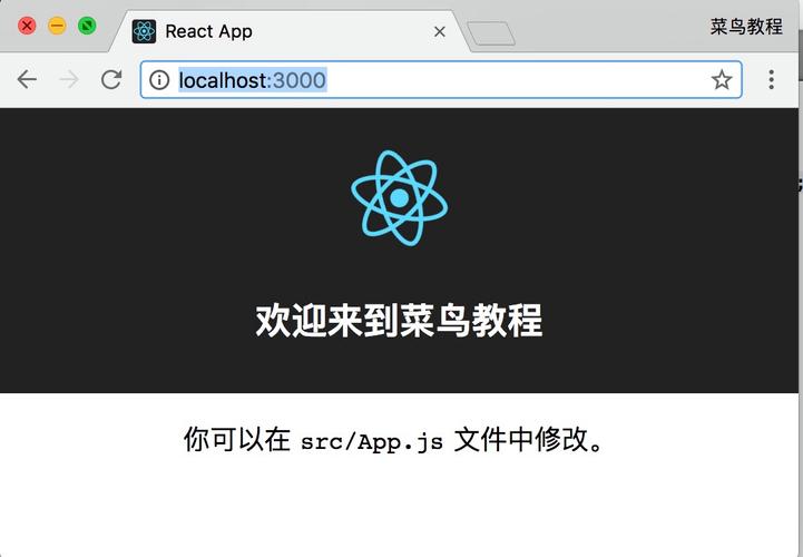 如何进行React基础安装及测试案例实操？