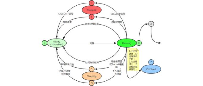 C语言中进程等待机制具体操作是怎样的？