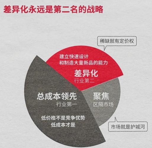 国内版政策导向本土化强，国外版技术领先国际化高，这样的差异化策略，您认为如何实现？