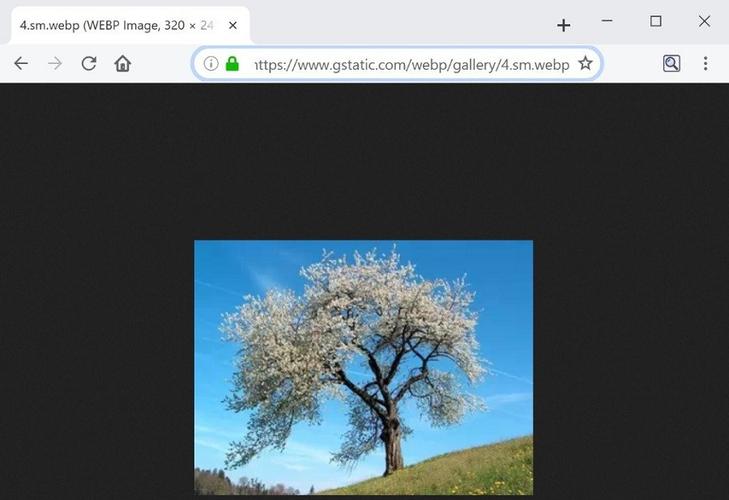Firefox 65版将支持WebP图片格式，有何看法？