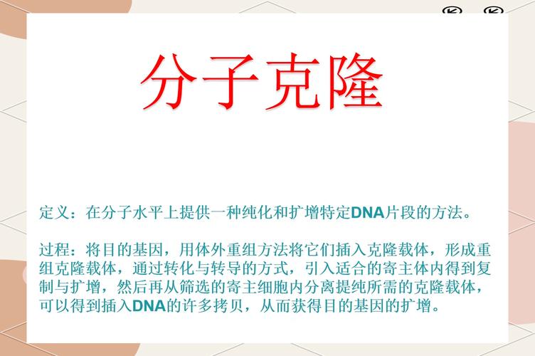 PHP单例模式如何实现防止继承和克隆？