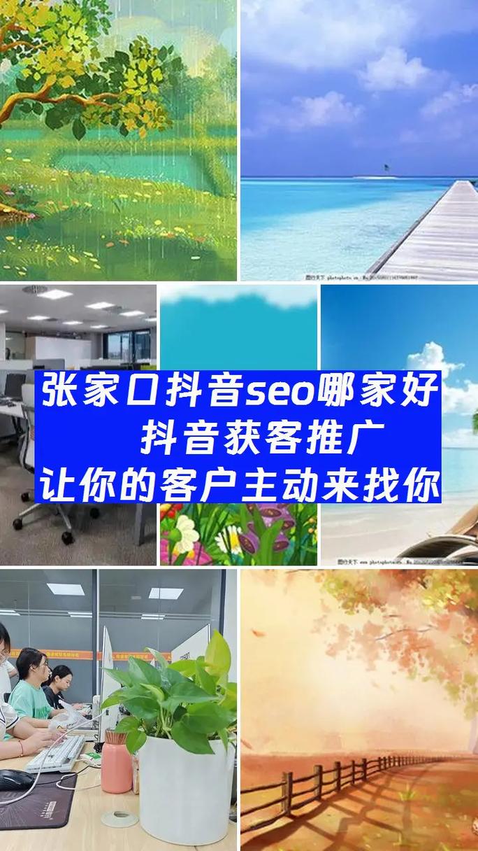 张家口SEO/网站开发专家，哪家服务更专业呢？
