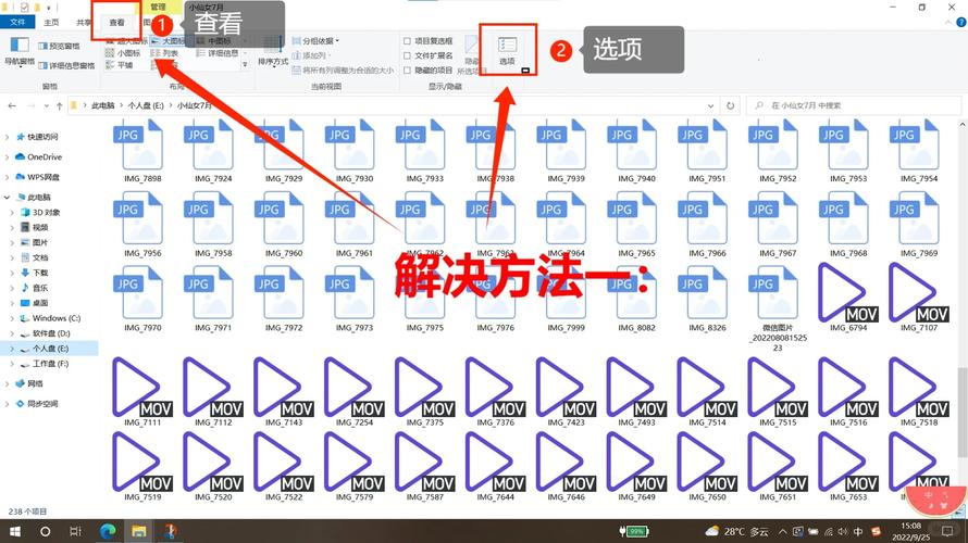 如何在新版PHP Study根目录下解决文件夹不显示的问题？