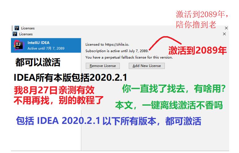 这个IDEA2020.2据说能持续到2089年，靠谱吗？