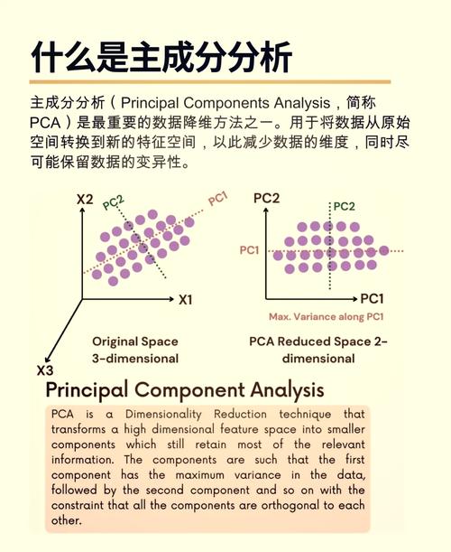 主成分分析(PCA)在数据降维中扮演什么角色？
