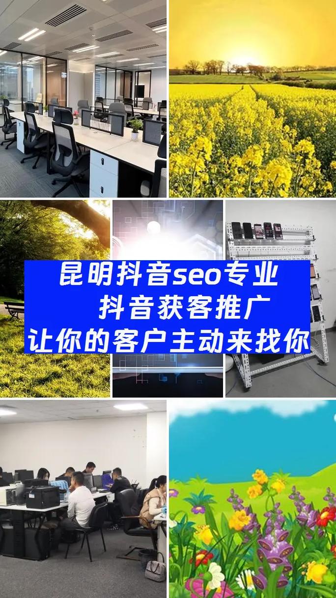昆明SEO服务，哪家专业优化效果显著呢？