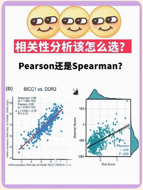数据相关性分析中，具体应用哪些相关性分析方法？