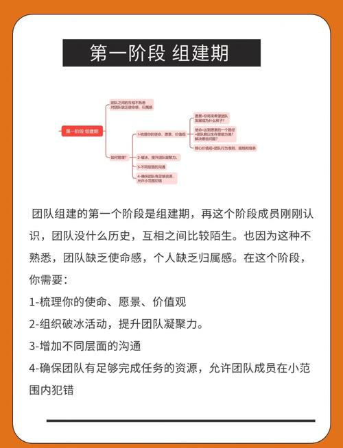 如何组建专业的建筑SEO团队，选择哪家优化公司更靠谱？