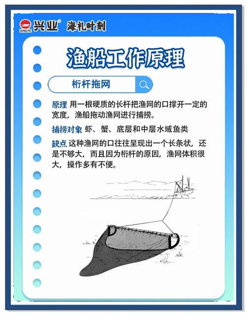 如何通过创新捕鱼技术，掀起一场项目推广的热潮呢？