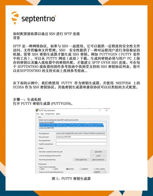 如何使用SSH.NET在.NET Core中编写代码以实现SFTP文件的上传和下载？