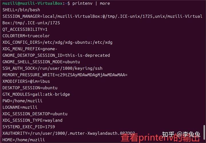UNIX/Linux Shell正则表达式如何详细解析及操作技巧？