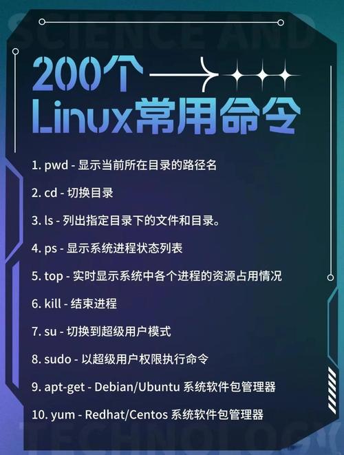 Linux中无欲则无求的find命令具体用法是？