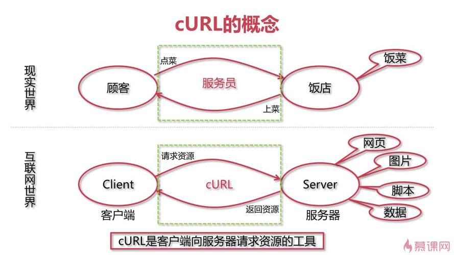 PHP中如何详细运用CURL进行网络请求？