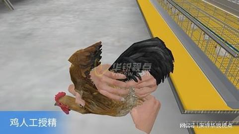 畜牧专业学生如何体验深圳华锐视点提供的高仿真3D虚拟仿真实验？