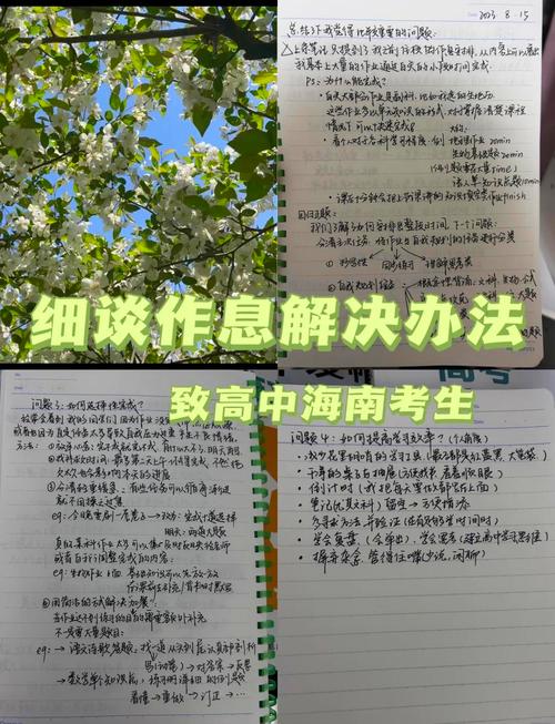 作业题解如何更高效获取？