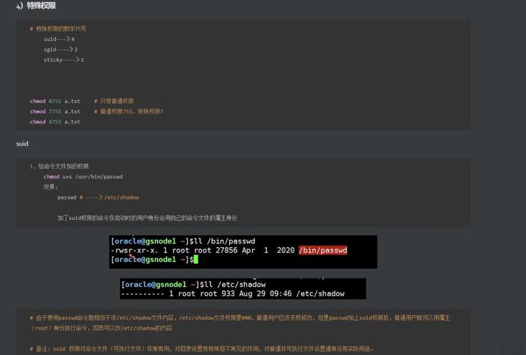 PHP中为何没有必需的main函数？