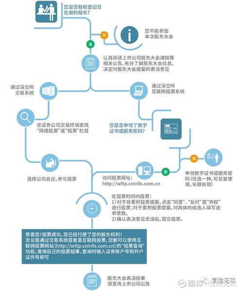 大企业网络投票的具体操作流程是怎样的？