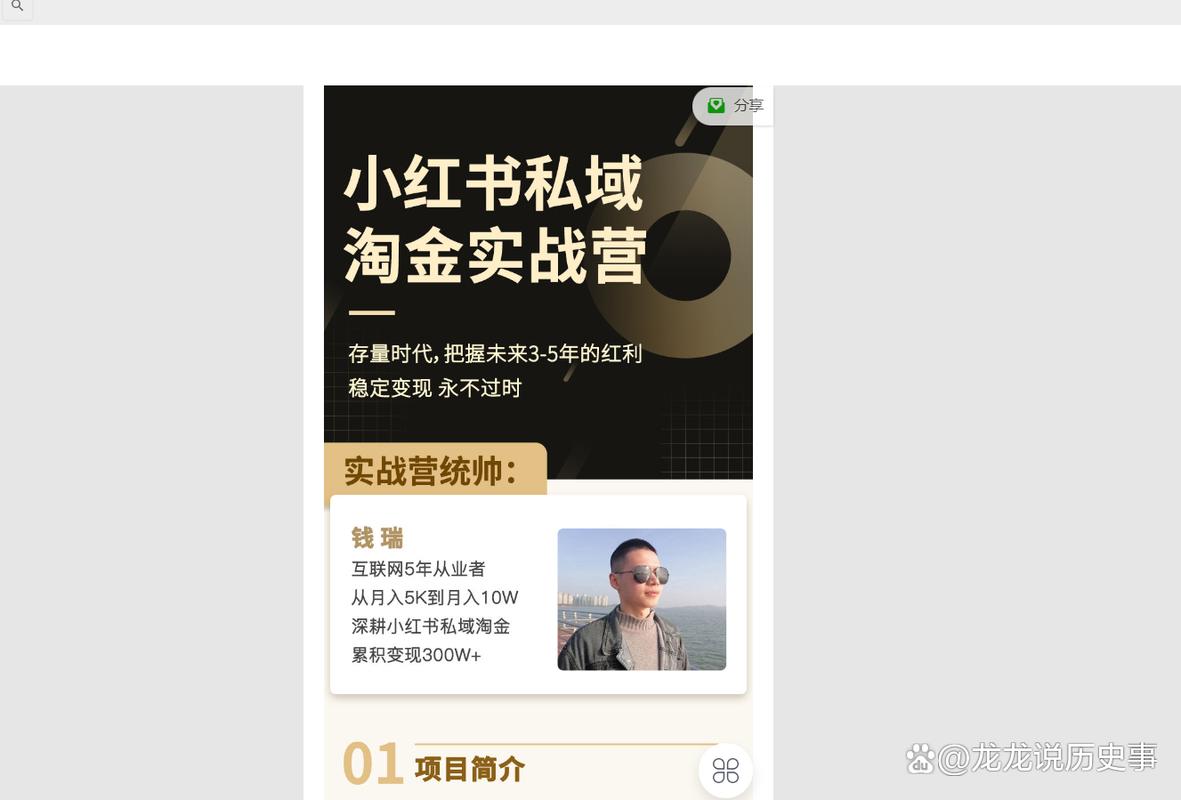 如何通过轻松掘金，实现日赚500的虚拟项目？