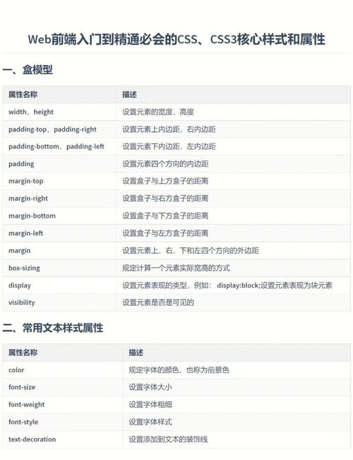 CSS中type属性代表什么含义？
