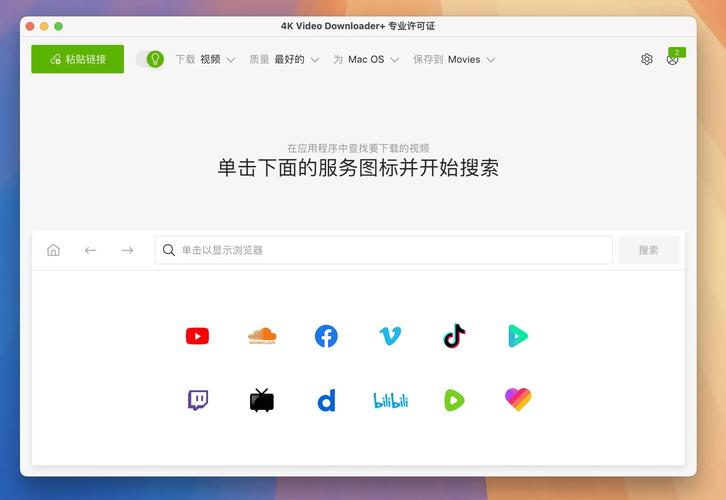 如何详细学习在vue3项目中集成并使用youtube-player插件？