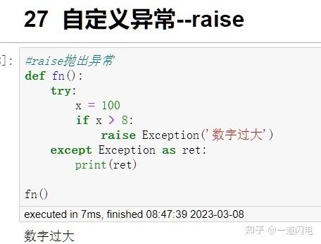 如何正确使用Python中的raise语句进行异常抛出？