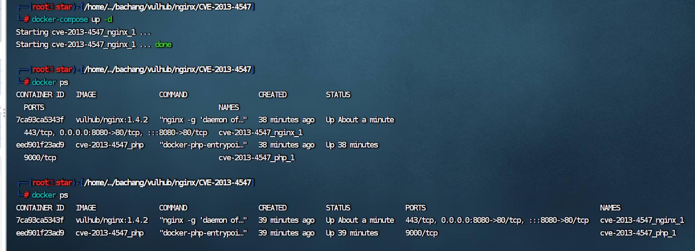 Nginx缓存漏洞CVE编号具体是哪一项？