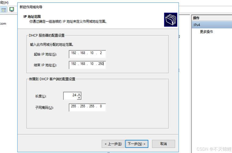 如何设置思科交换机上的DHCP服务功能？