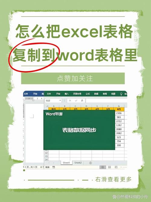 如何快速高效地将网页内容一键复制到Excel表格中？