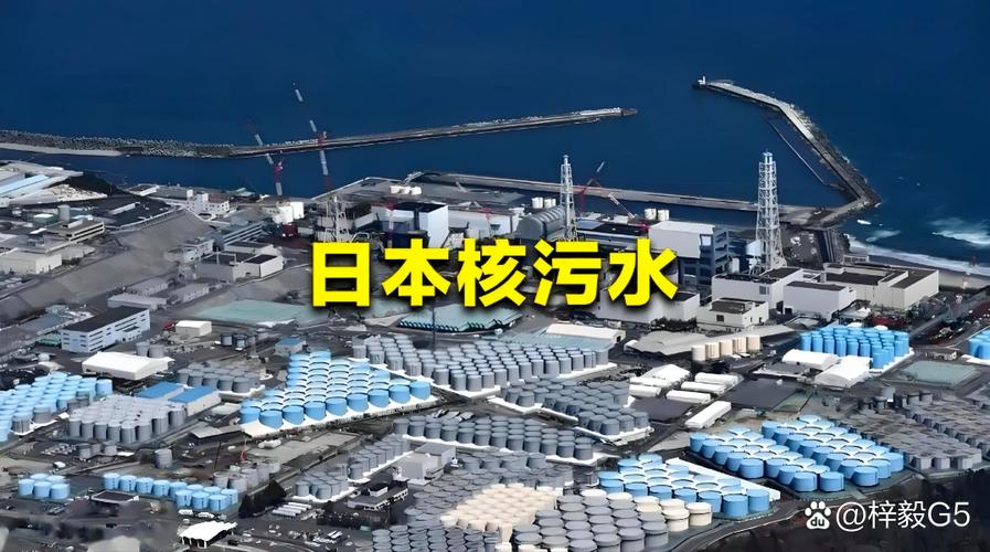 谁质疑黑客组织Anonymous针对日本核污水排放的网络攻击行动？