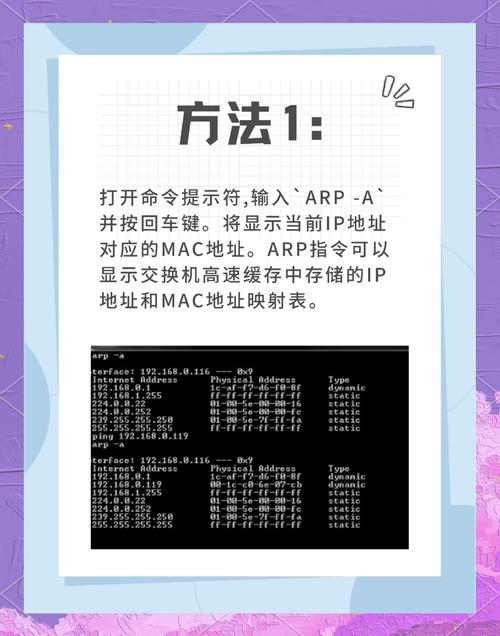 如何设置vue项目在同一局域网内通过IP地址访问？