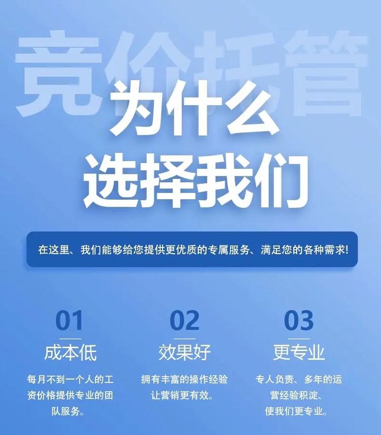 嘉定SEO优化，宁波正规价格透明，哪家公司服务更专业呢？