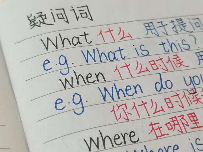 s New这个词组可以为：这个s New是什么意思？