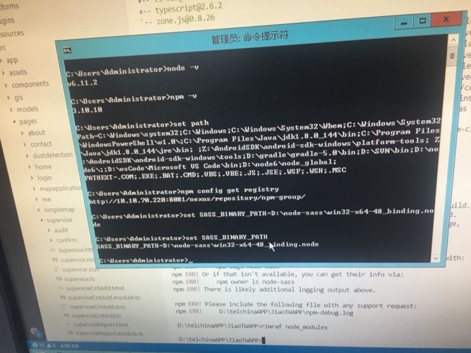 node-sass@4.14.1错误终极解决法揭晓？