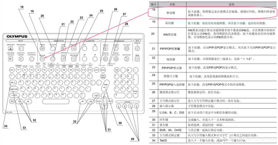 如何详细理解EFCore中的导航属性？