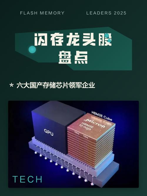在闪存技术浪潮中，有哪些厂商知识是必须了解的？