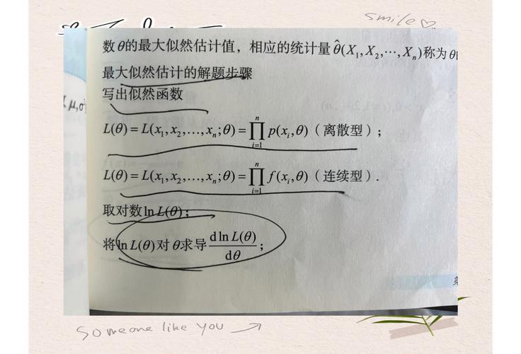 Python中如何实现最大似然估计算法原理及步骤详解？