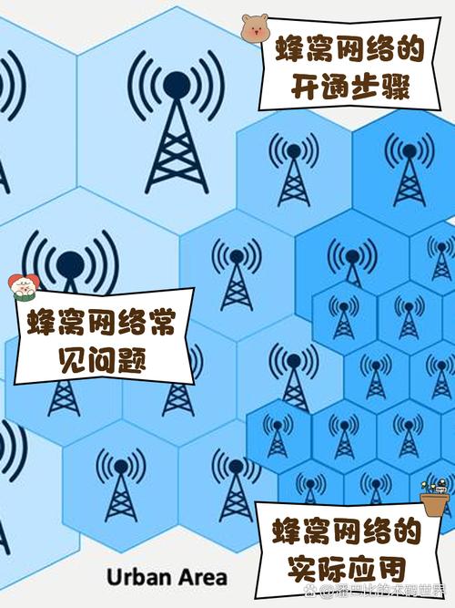 t前缀背后隐藏的网络现象究竟有何秘密？